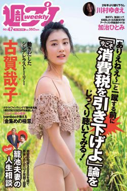 法言人